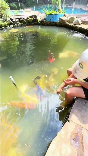 How We Built a NEW WATERFALL 🌊 For a Fish-Filled Pond! 🐠 PT 7, FINALE