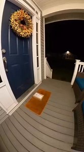 #funnyvideos | big foot usa