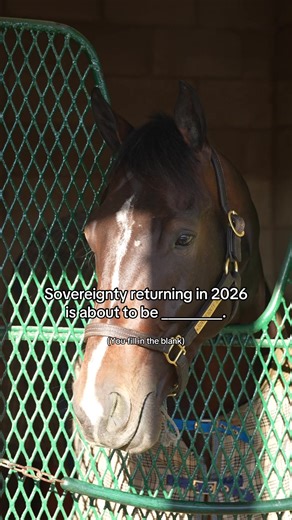Who’s excited to see more Sovereignty?! 👀 The reigning Kentucky Derby & Belmont Stakes champion saw his season end early with a scratch ahead of the Breeders’ Cup Classic due to an elevated temperature. Fully recovered, Sovereignty is back training in Kentucky ahead of the 2026 season. After earning more than $5.6 million with five wins from six starts, the Horse of the Year contender is far from finished… What do you think is next for this superstar? #ottb #horseracing #equestrian #horses @God