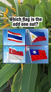 Look at these asian flags. Three of these countries are part of the same regional organization, while one is not. Can you spot the odd one out? #geography #ASEAN #flags #fblifestyle | Learn English