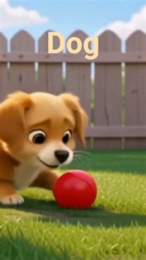 dog play with ball🐕🐕