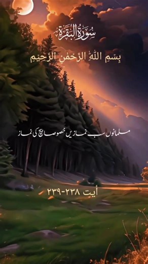 The Power of Prayer | Surah Al-Baqarah Ayat 238-239 ✨#youtubeshorts #quranshorts