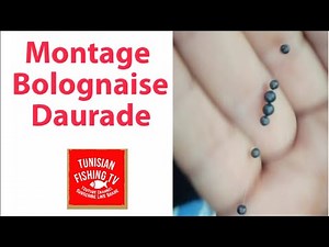Montage Flotteur 2g courant Fort