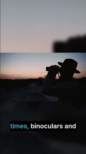 How to Observe the Comets: Tips for Stargazers! 🌠