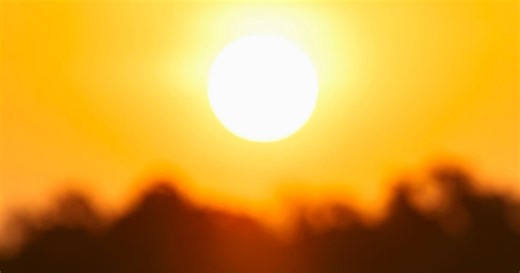 Report highlights unprecedented temperatures, precipitation in 2024