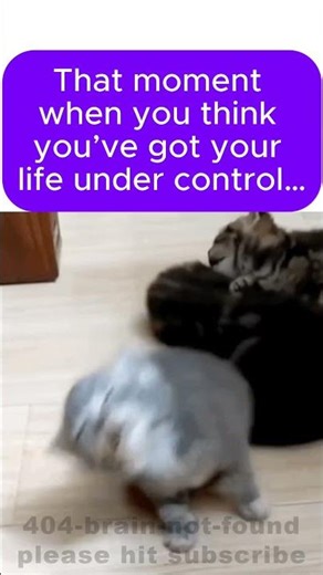 Epic Facepalm Moment | meme