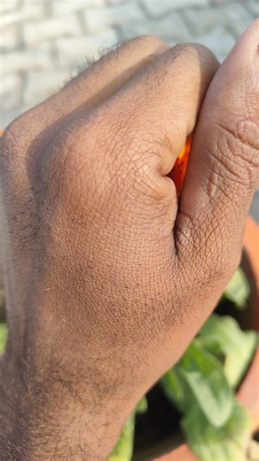 Amazing Flower Trick#calendula flower#plants#flower#garden#shortsfeed #shorts#garden