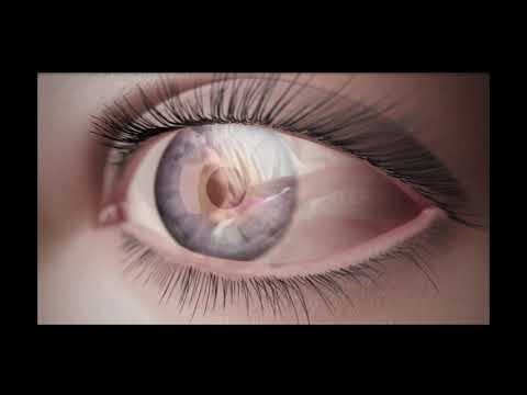 Eye Anatomy Presentation