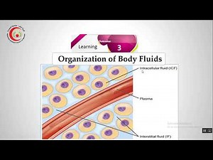 Body fluids