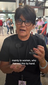 6.3K views · 88 reactions | From karkalla to river mint, these are the native Australian ingredients we are loving. #australianfood #nativeingredient #firstnations https://bit.ly/4j9vfVE | SBS Food | Facebook