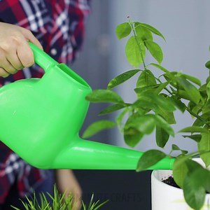 How a diaper can help a plant.🌱 bit.ly/2l3HA0a | 5-Minute Crafts