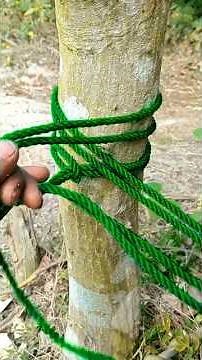 The Secret Tree Knot That Tightens Itself! 🌳🪢🔥
