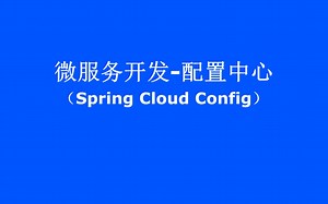 04-微服务配置中心(Spring Cloud Config）