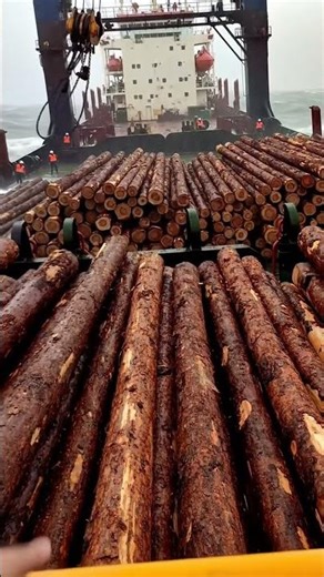 Loading A MOUNTAIN of Logs in a Storm! 🤯 #logging