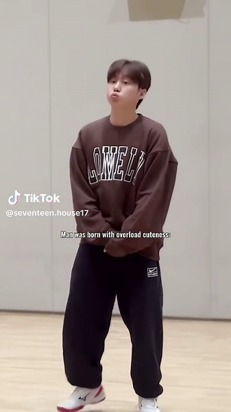 Uri aegi🥹🤏🏻 cute with his whole body 💓##seventeen #foryou #foryoupage #fyp #seventeen세븐틴 #booseungkwan