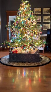 I’m not the only one loving the new vintage tree 😆 | Garden Answer