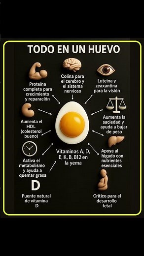 5 Sorprendentes Beneficios de Comer Huevos Todos los Días