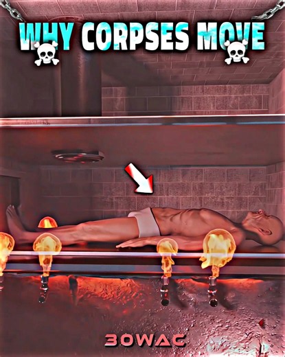 WHY CORPSES MOVE! 💀
