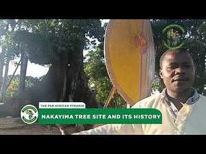 #papdebate:Here're Facts About Nakayima Tree Cultural Site and Its Rich History In Mubende