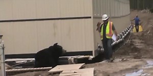 347K views · 9.3K reactions | Crazy Pranks From The Past! | Peachy | Facebook