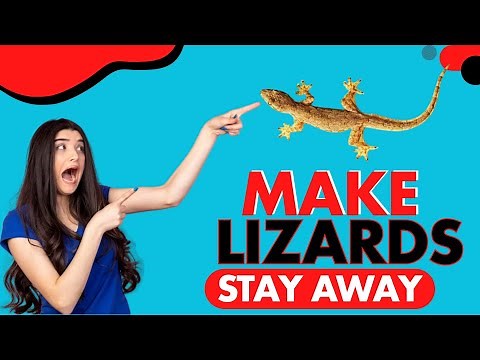 How to Get Rid of Lizards At Home Without Killing Them - Natural Solutions