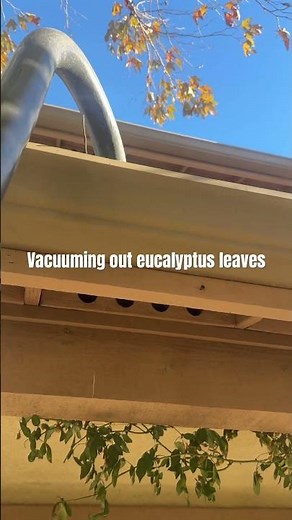 Rain gutter cleaning using the Gutter Buster professional cleaning.