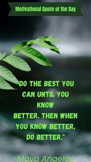 Do the best you can until you know better Then when you know better, do better Maya Angelou