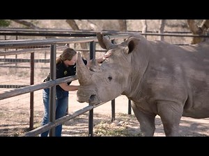 Charging Towards a Better Tomorrow | Help Mohawk Bring Back the Rhino