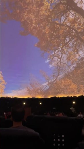 Inside Nehru Planetarium’s Dome Theatre | Mesmerising 360° Space Experience #shortsfeed #viralvideo