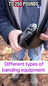 Farmer explains difference types of banding equipment #cattle #farming #farmer #Farm | thecussingfarmers