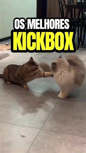 Incredible Voice Impressions by a Talented Dubber