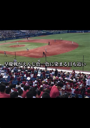 今年の早稲田入試事件3選