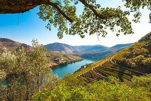 14 lugares que ver en el norte de Portugal (Más allá de Oporto) - El rincón de Sele