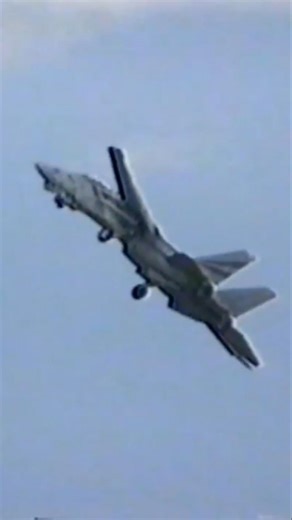 【TOMCAT フルパワー！！】着陸を断念してGo Around!! F-14のカッコ良さ全開の日本でのデモフライト！