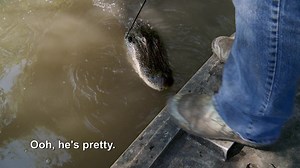 44K views · 318 reactions | Rick might have found the Mona Lisa of guns in this clip from from "Great Scott!" | The Best of Pawn Stars | Facebook