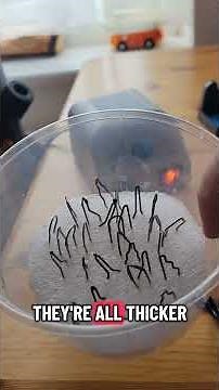 a longer video, the first of 3 #pyrography #woodburning