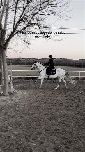 Vlog de Equitación: Saltos y Caballos en Acción