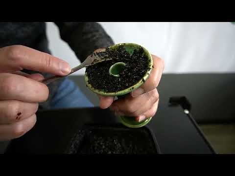 HookahJohn Alien 2022 Hookah Bowl Review