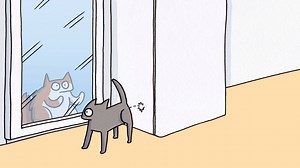 12K views · 96 reactions | When it comes to cat behaviour, spraying and weeing aren't one and the same - they're very different behaviours with different causes. Do you know how to tell which is which? Find out more. www.cats.org.uk/behaviour-hub | Cats Protection | Facebook