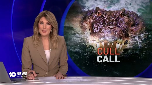 A north Queensland Mayor has floated the idea of turning predatory crocodiles into handbags as his town is besieged by the reptiles. It follows an attack in the region yesterday and now a hunt for the animal responsible. | 10 News Queensland