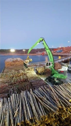 Material Handler Machine - Sennebogen 835 #shortvideo