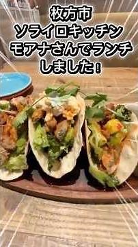 10種類から選べるタコスが優勝すぎた🌮南国気分ランチ！#大阪 #大阪グルメ #グルメ好き
