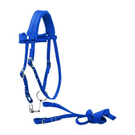 Almencla Horse Bridle with Rein Adjustable Horse Leading Rope Equestrian Gear S Blue - Walmart.ca