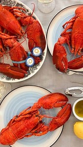 Toscane & Lucas on Instagram: "Babe veut des Mac n Cheese au Homard 🦞🍝🧀 Merci au @fairmontmonaco de nous avoir prêter leur cuisine 🇲🇨🏎️ Ingrédients - Pâtes macaroni - 1 homard de 500 g - 50 g de farine - 50 g de beurre - 500 ml de lait entier - 125 g de cheddar - 125 g de gruyère - 125 g de parmesan - 1 cuillère à café de poudre d’oignon - 1 cuillère à café de graines de moutarde - 1 cuillère à café de paprika - Sel & poivre - 300 g de chapelure panko - 2 gousses d’ail - 1 cuillère à café