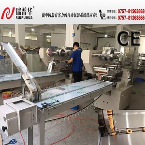 [Hot Item] Biscuit Type Automatic Feeding & Packing Line