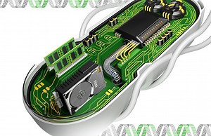 Wetware advances: Biological logic gate built by splitting viral gene