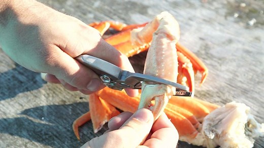 3.7K reactions · 743 shares | The Toadfish™ Crab Cutter was designed to cut evenly around crab claws in one step, keeping meat intact and shell fragments out. Works On All Crabs: 呂Blue Crab 呂King Crab 呂Dungeness Crab | Toadfish | Facebook