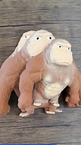 Soft Gorilla Squishy Toy This chimpanzee is more than just a model, it can pull knots and squeeze. No matter what you do, it will go back to its original state. Safe material, no harm to the body and skin, no odor. Shop Now:t.ly/3gY8K ----------------------------------------------------- 📞Call Us: 0304-111-6869 💬Whatsapp:https://wa.link/oveiiw . . . . . . . . . . . . . #toyzonepk #toyshop #onlineshopping #cashondelivery #pakistan #toys #toycollection #toys4sale #toyworld #toy #toyscollection #