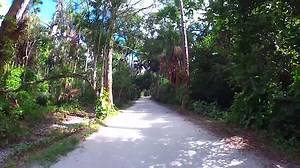 1.5K views · 16 reactions | Get outside from the comforts of home. ‍♀️ Explore The Palm Beaches with our virtual bike ride tour, where you can all but feel the breeze rustle through your hair. We're all in this together.  https://www.thepalmbeaches.com/blogs/walking-biking-palm-beach-lake-trail | Discover The Palm Beaches | Facebook