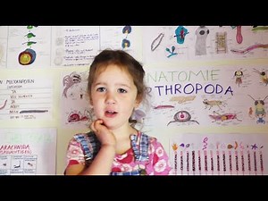Amazing 4-year-old sings all the elements of the periodic table (by memory)!